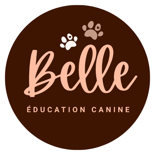Belle éducation canine